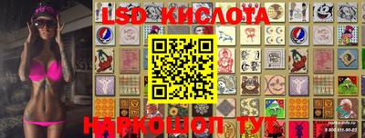 прущие грибы Кандалакша