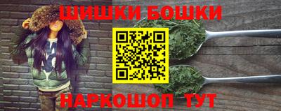 прущие грибы Кандалакша
