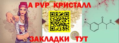 шишки Канаш