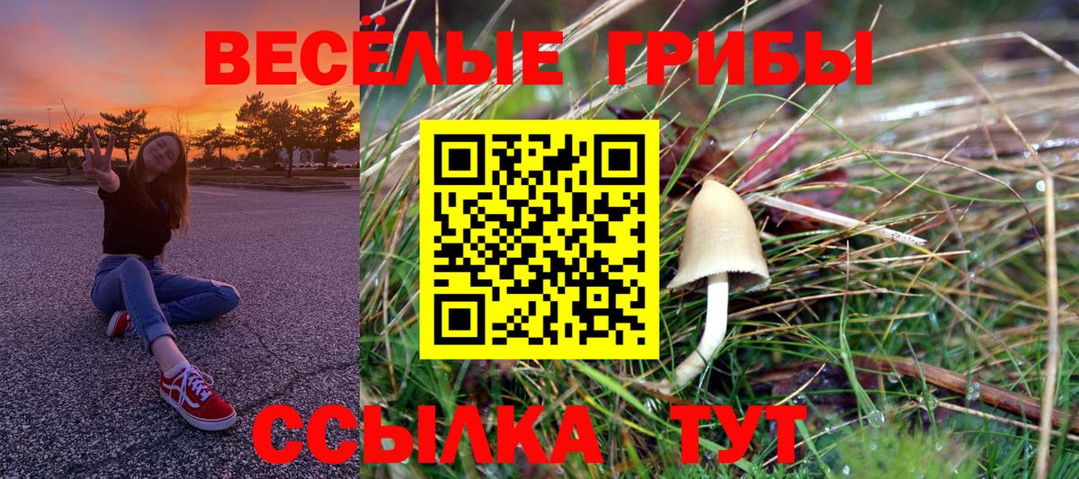 Галлюциногенные грибы мицелий Кумертау