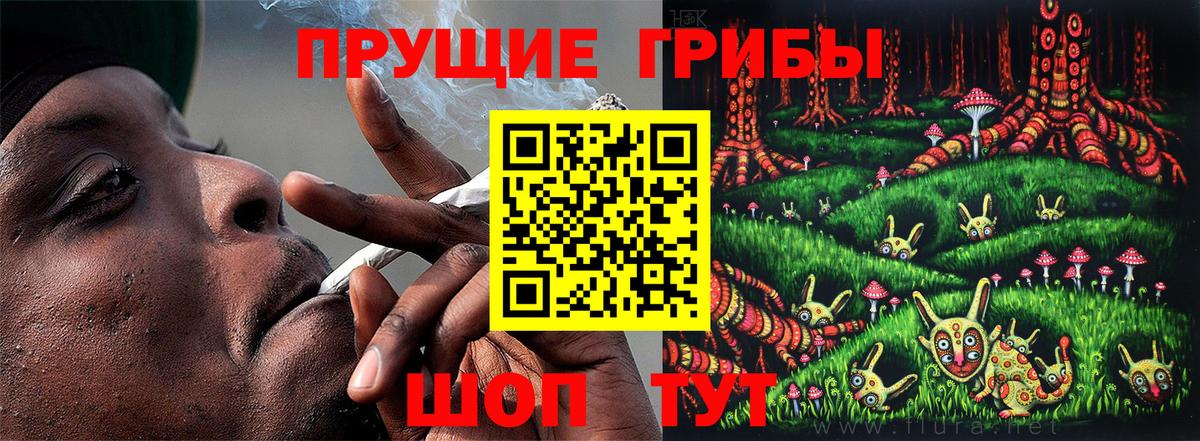 Псилоцибиновые грибы Psilocybe  Галлюциногенные грибы Cubensis  Вход с VPN  Кумертау 